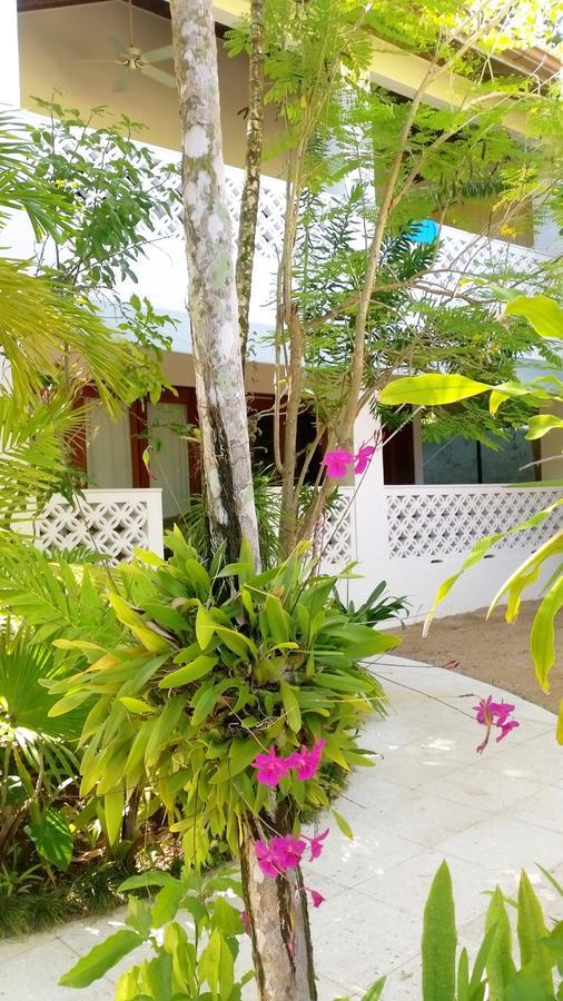 Hotel Idle Awhile Beach Negril Exteriér fotografie